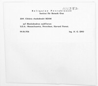 Image Associated With the Occurence